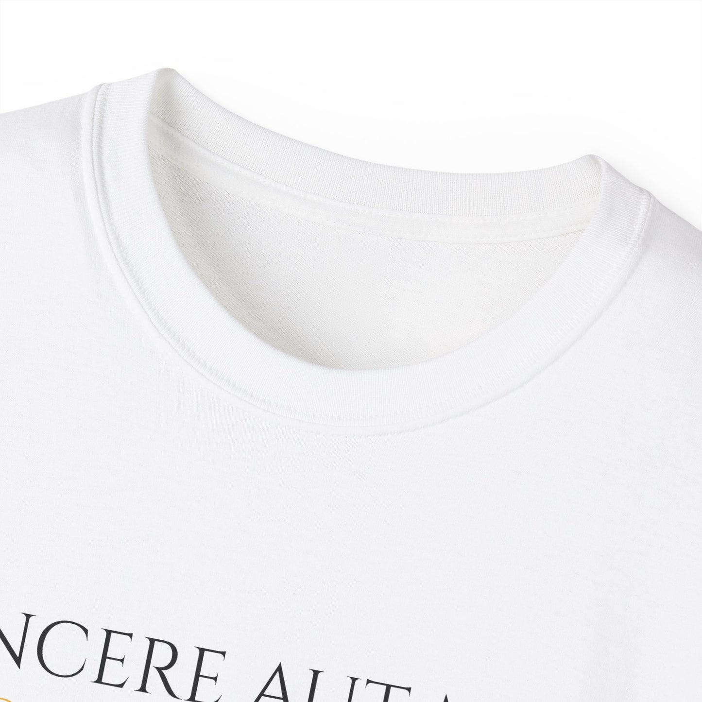 T-shirt - 'Vincere aut Mori'